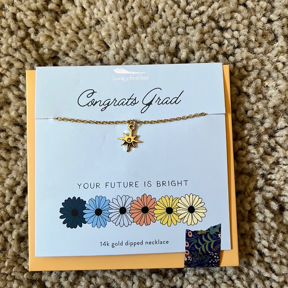 14k gold dipped necklace with star pendant